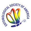 Four Women Elected Fellows of the Entomological Society of America