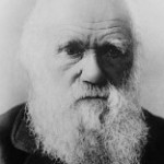Harvard Project Examines Darwin's Views on Women