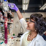Louisiana State University Is a Mecca for Women Chemists