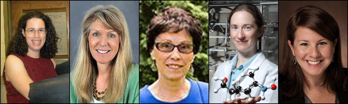 Ten Women Academics Named To American Chemical Society