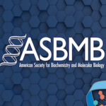 Three Women to Be Honored by the American Society for Biochemistry and Molecular Biology