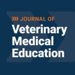 Women are Underrepresented in Global Veterinary Medicine Leadership Positions Despite Overrepresentation in the Field